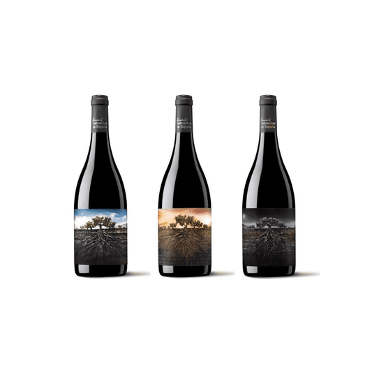 VINO ESTUCHE GARNACHAS OLV.ARAG MAS SALV.MON MAS FOSCA P 3/750 - GARNACHAS DE ESPAÑA - Compralo en CorinneRegalos.com