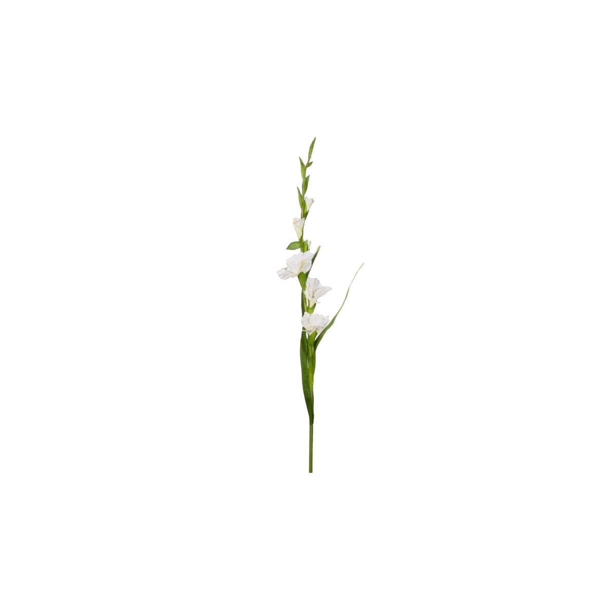 RAMA DE GLADIOLO BLANCO - ASA SELECTION - Compralo en CorinneRegalos.com
