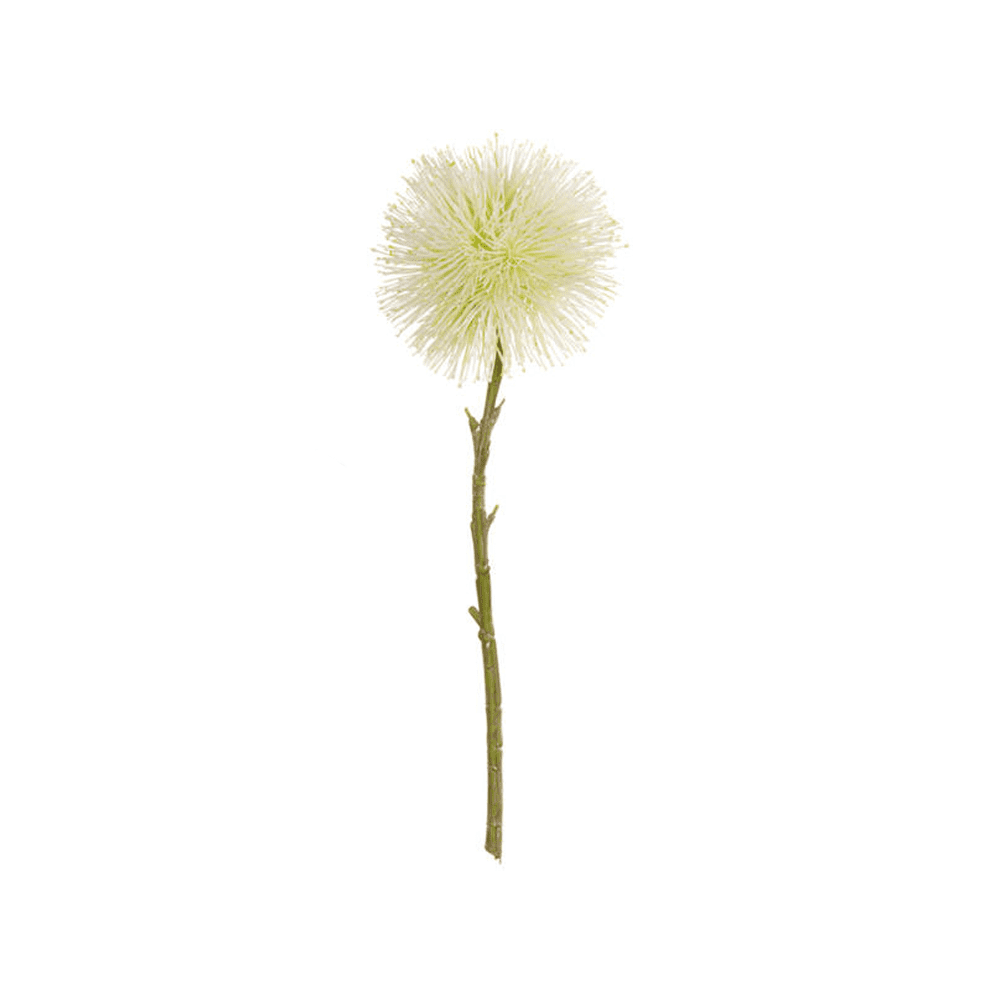 POMPONLARGE WHITE MIQUEL LINDEN L. 40 CM  D 15 CM - ASA SELECTION - Compralo en CorinneRegalos.com