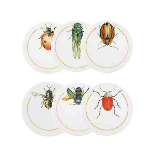 JUEGO 6 BASES PARA TAZAS INSETOS - VISTA ALEGRE - Compralo en CorinneRegalos.com