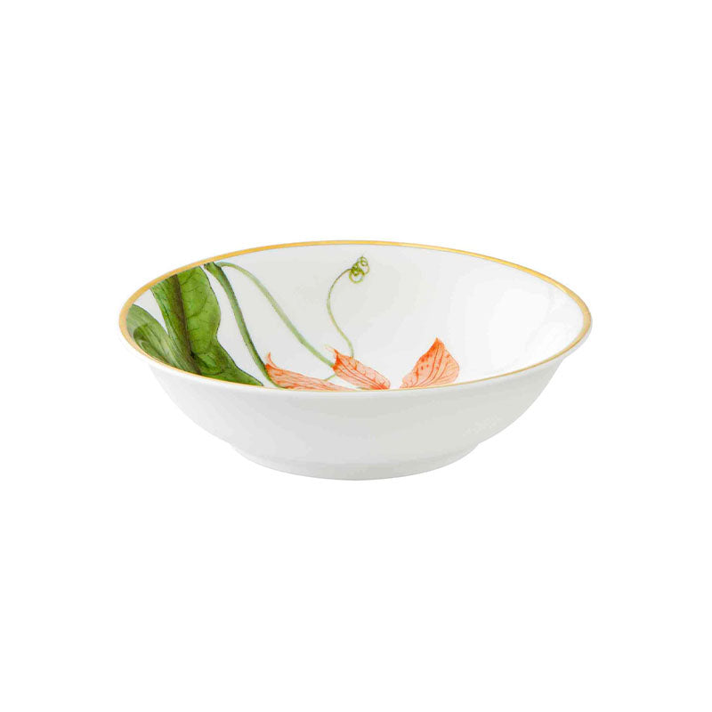 TAZA PARA FRUTA AMAZON - VISTA ALEGRE - Compralo en CorinneRegalos.com