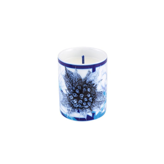 MINI SCENTED CANDLE - VISTA ALEGRE - Compralo en CorinneRegalos.com