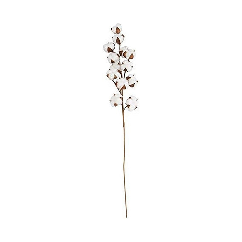 COTTON STEM - MUD PIE - Compralo en CorinneRegalos.com