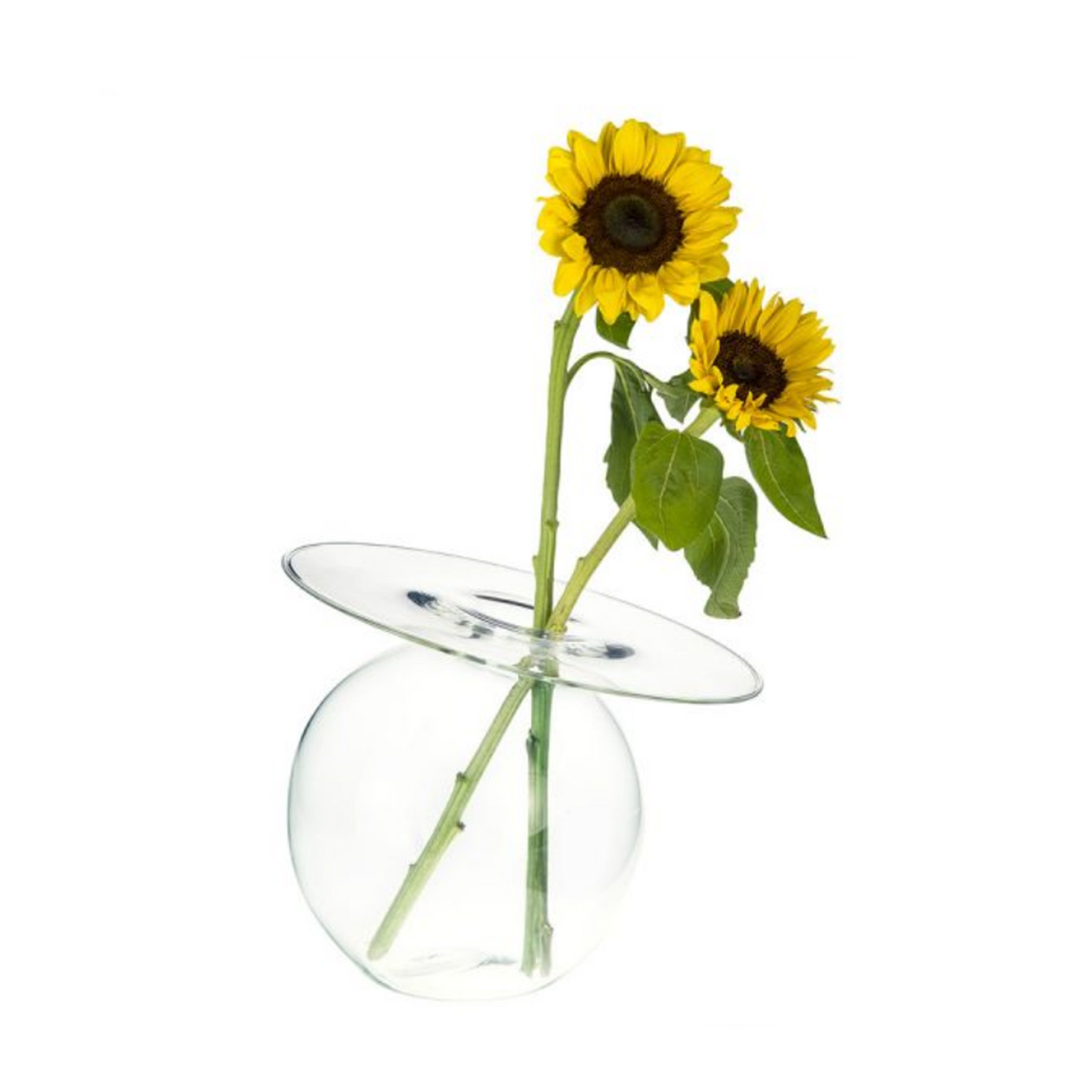 CHAPEAU VASE,BLOWNGLASS CM14X11 - DOVETUSAI - Compralo en CorinneRegalos.com