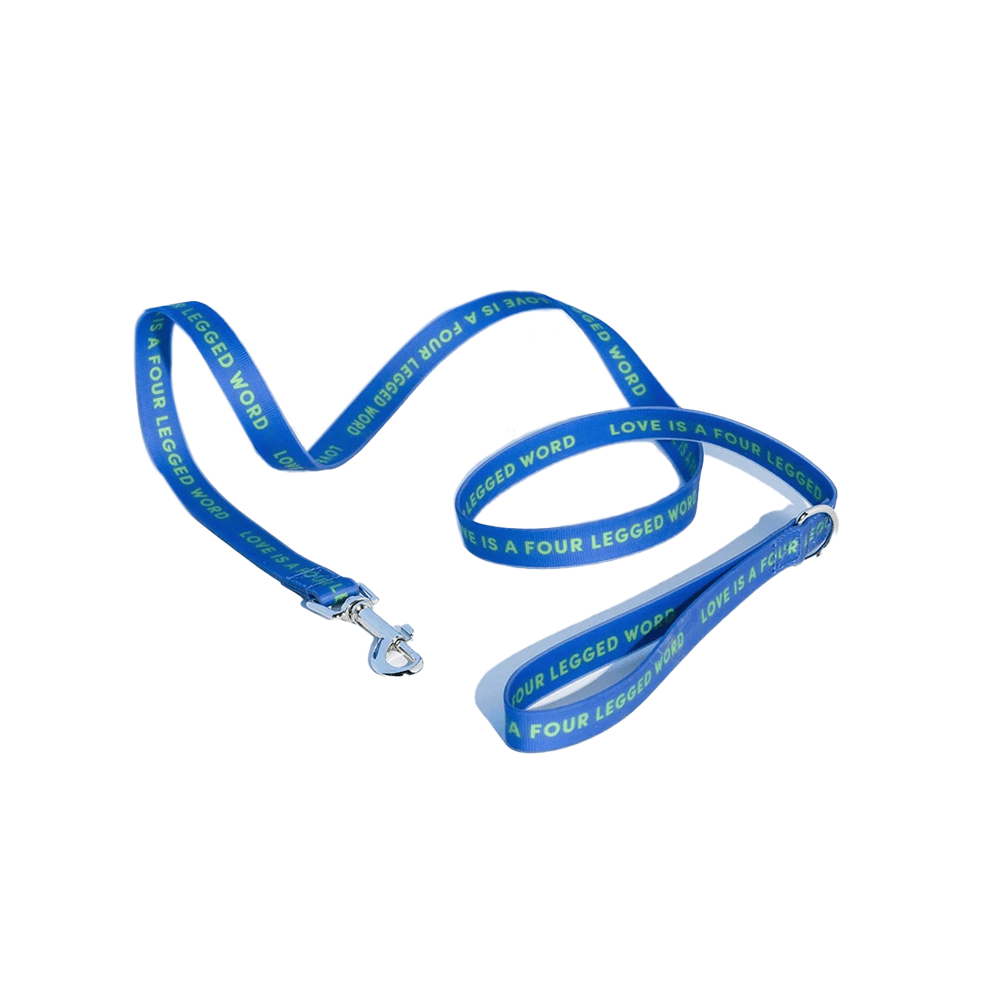 CORREA PARA COLLAR DE PERRO COLOR AZUL GRANDE - GUMMI PETS - Compralo en CorinneRegalos.com