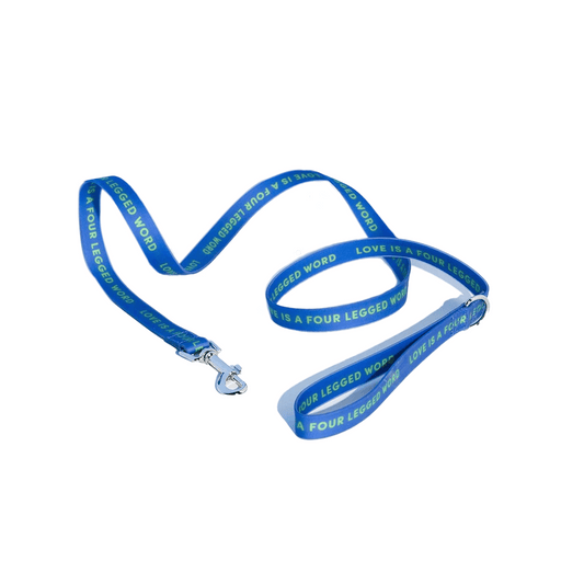 CORREA PARA COLLAR DE PERRO COLOR AZUL GRANDE - GUMMI PETS - Compralo en CorinneRegalos.com
