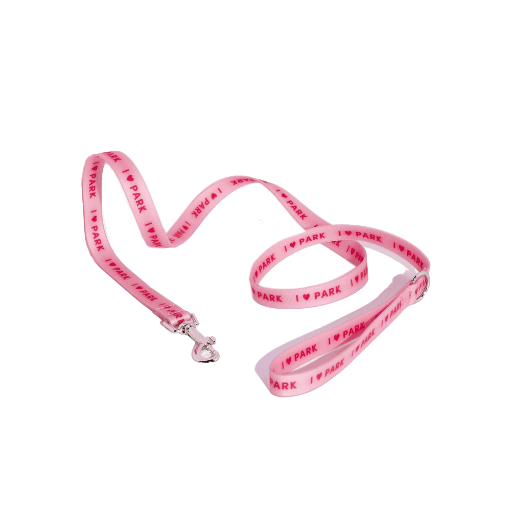 CORREA PARA COLLAR DE PERRO COLOR ROSADO GRANDE - GUMMI PETS - Compralo en CorinneRegalos.com