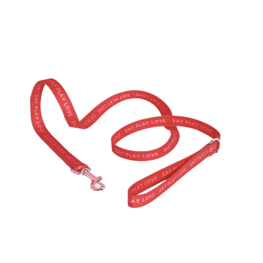 CORREA PARA COLLAR DE PERRO COLOR ROJO PEQUEÑO - GUMMI PETS - Compralo en CorinneRegalos.com